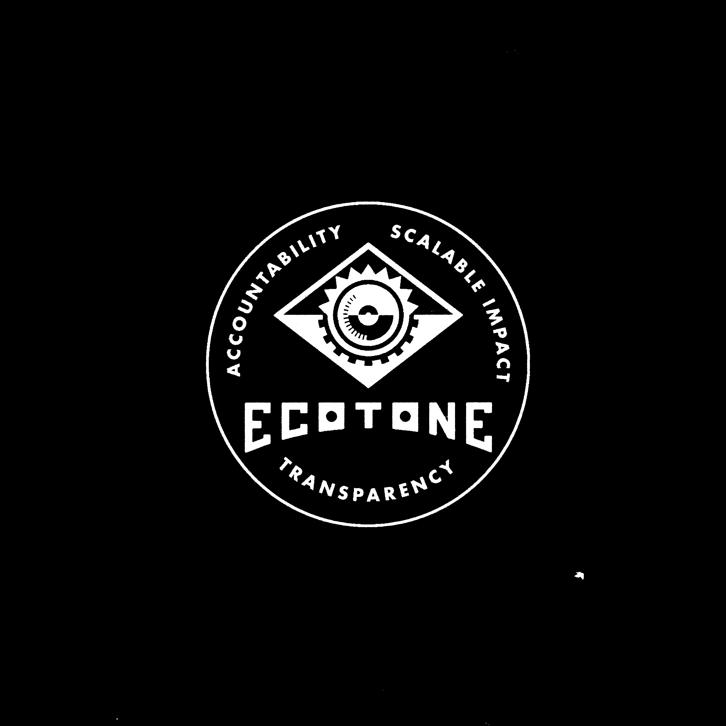 ecotone analytics